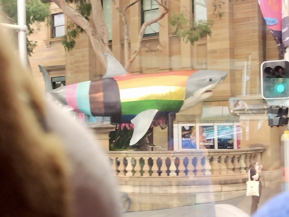くまの横顔。
クマが見ている先には、大きなサメの模型が設置されている。
サメは、博物館の前にあり、体がプログレッシブプライドカラーに塗られている。