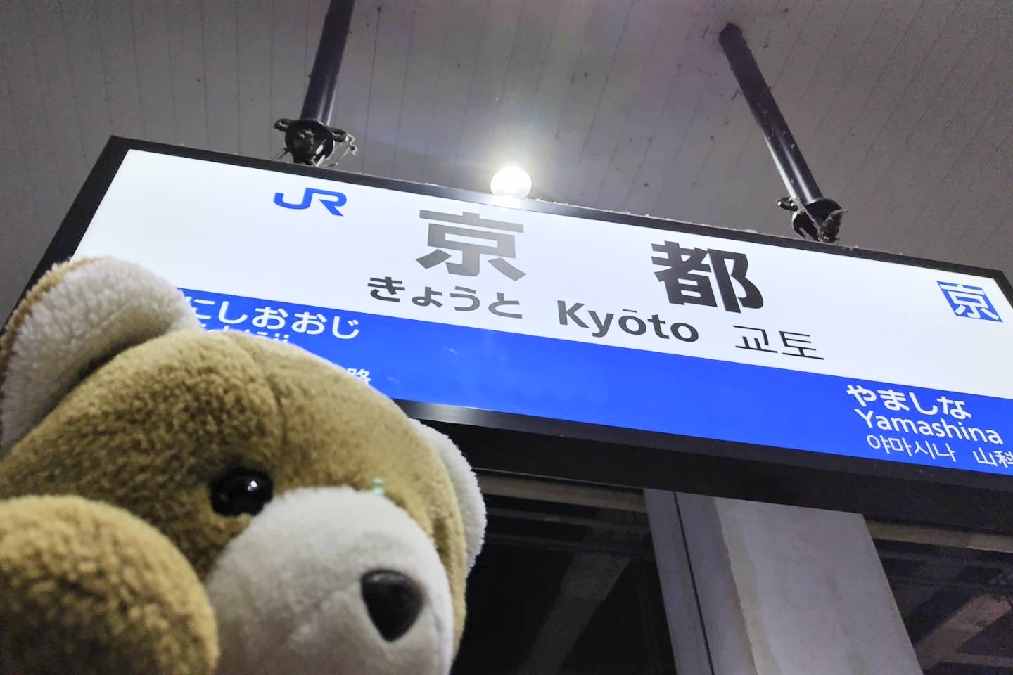 京都レインボープライド2024参加のため、JR京都駅ホームに降り立つマリフォーくま
