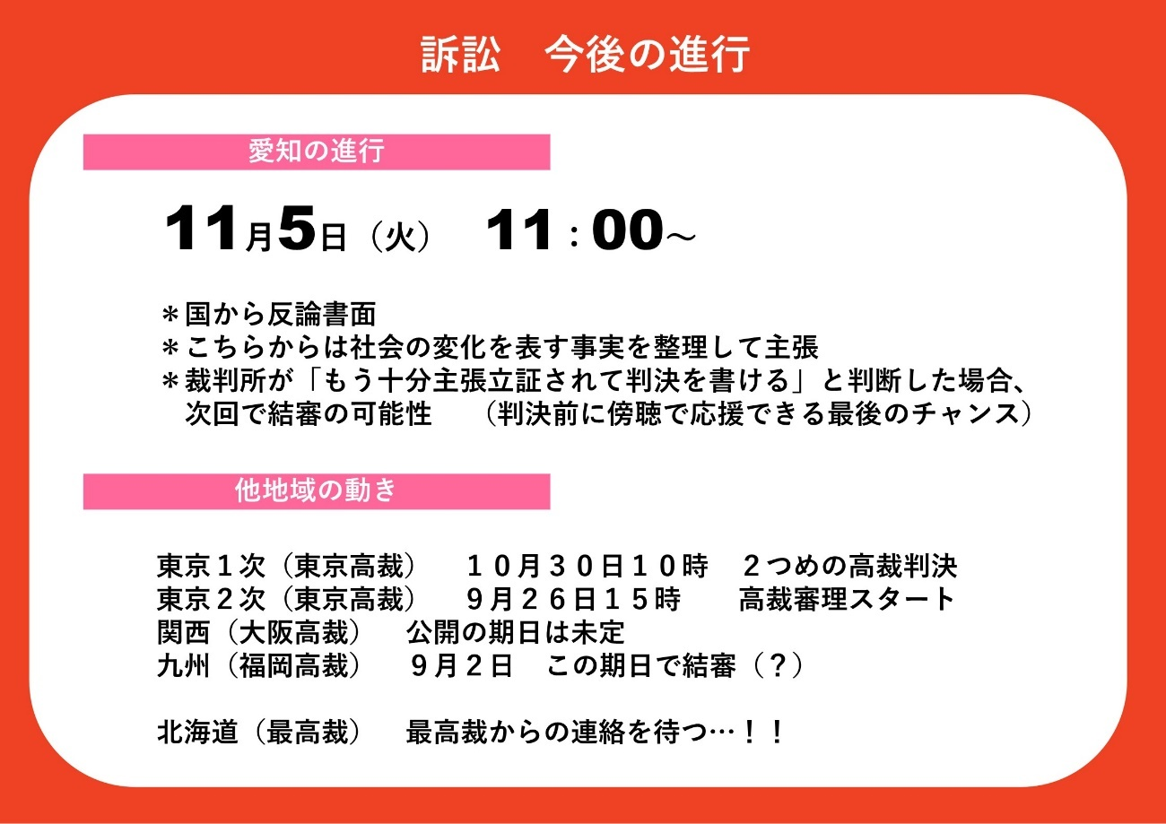 愛知の進行　１１月５日火曜日　１１時から ・国から反論書面 ・こちらからは社会の変化を表す事実を整理して主張 ・裁判所が「もう十分主張立証されて判決を書ける」と判断した場合、次回で結審の可能性も（判決前に傍聴で応援できる最後のチャンスになるかも） 他地域の動き 東京１次（東京高裁）　１０月３０日１０時から　２つ目の高裁判決が出る 東京２次（東京高裁）　９月２６日１５時から　高裁での審理がスタート 関西（大阪高裁）　公開の期日は未定 九州（福岡高裁）　９月２日　この期日で結審するかも 北海道（最高裁）　最高裁からの連絡待ち 