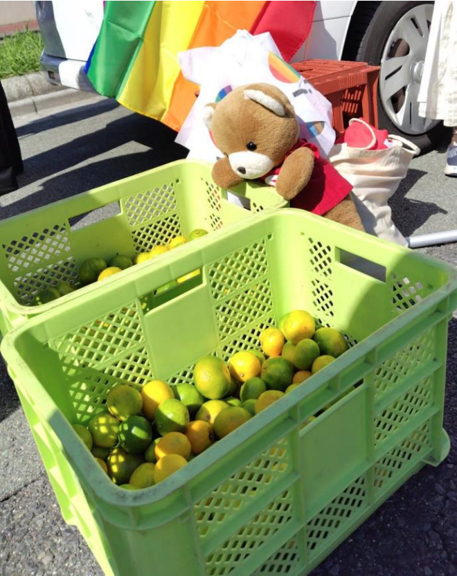 大量のみかんが入った箱が２箱置かれている。 くまちゃんが身を乗り出してみかんを眺めている。