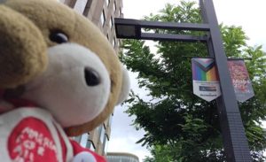 街頭にさっぽろレインボープライドのロゴの入ったレインボーフラッグが飾られている。くまちゃんがおsれを見上げ、喜んでいる。